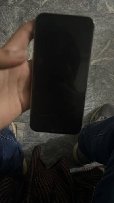 WhatsApp no 03153783779