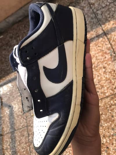 Nike Jordan dunks size 8.5