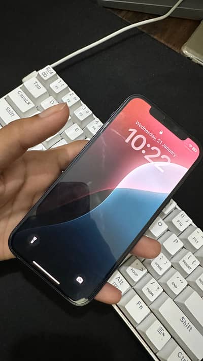 IPhone 12 ( Factory unlocked )