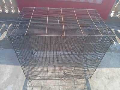 cage for hen and pigeon