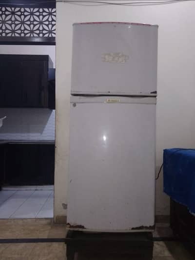 Large size fridge