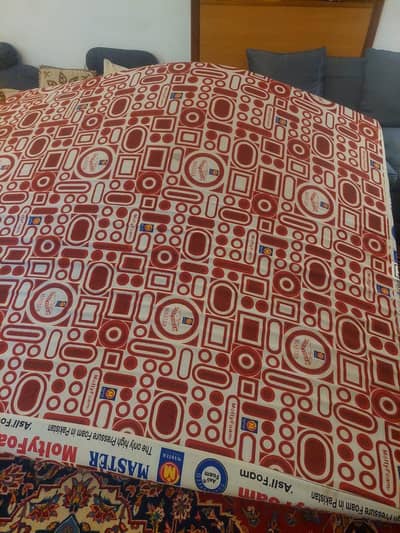 Mattress Molty Foam 5 inch