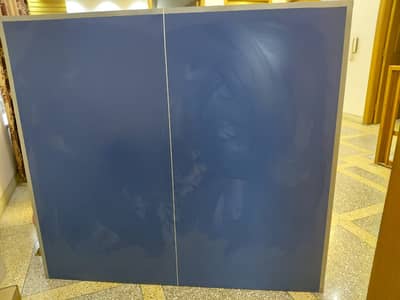 Table tennis / table tennis sale /table tennis “MFG"