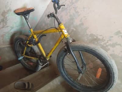 Fat bike
