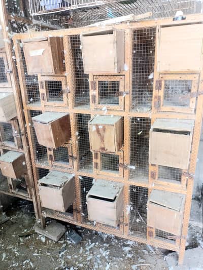 9 portion wooden cage