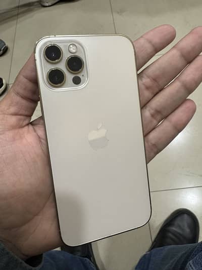 Iphone 12 pro Golden 10/10