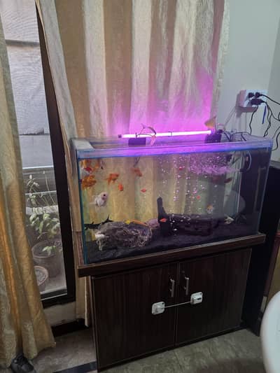 Aquarium For Sale with Fishes