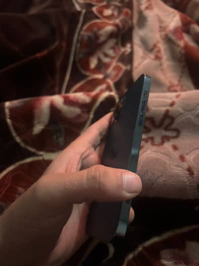 12 pro Non pta 512 Gb