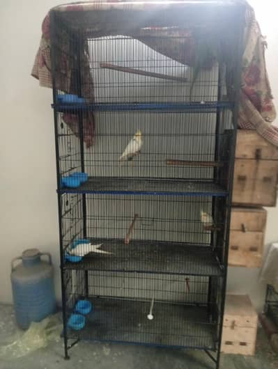 Har size ka cage Available ha