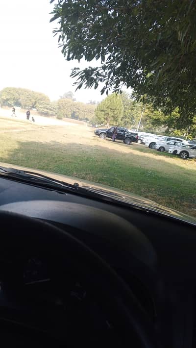 hello I need aa female teacher