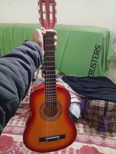 Guitar for sell 1100