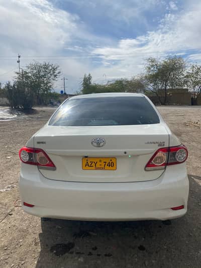 Gli 213 white beauty