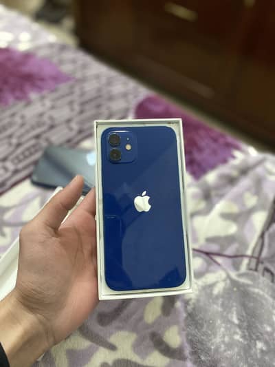 iPhone 12 (pta approved)