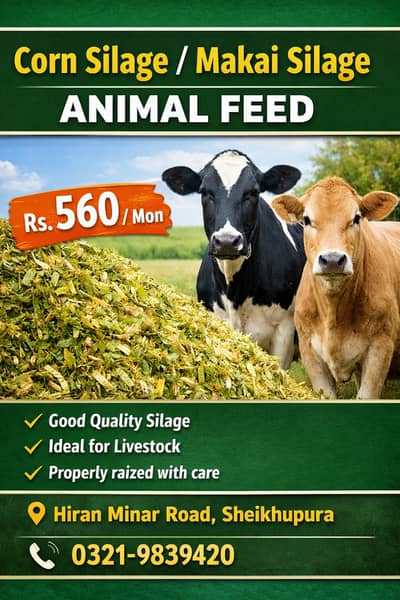 Corn Silage / Animal feed / makai sailage