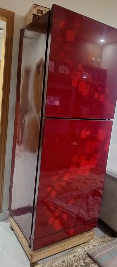 jumbo size glass door fridge
