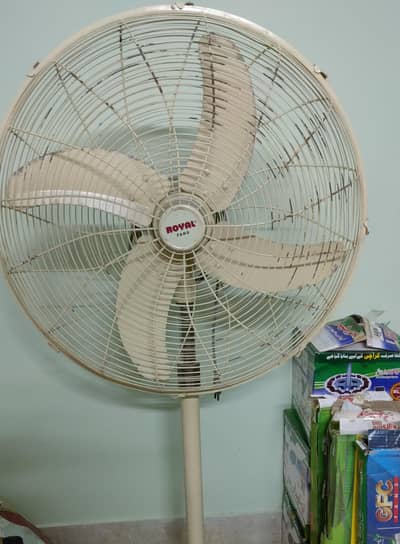 royal  fan