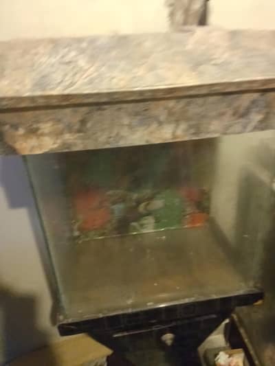 aqwariam fish  for sale