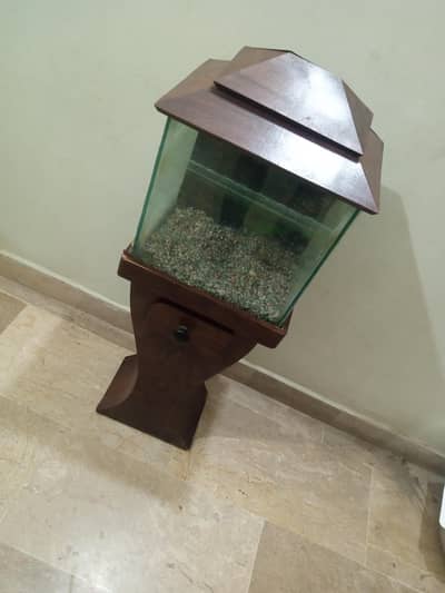 fish aquarium available