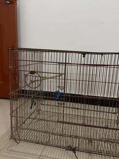 cage for parrots