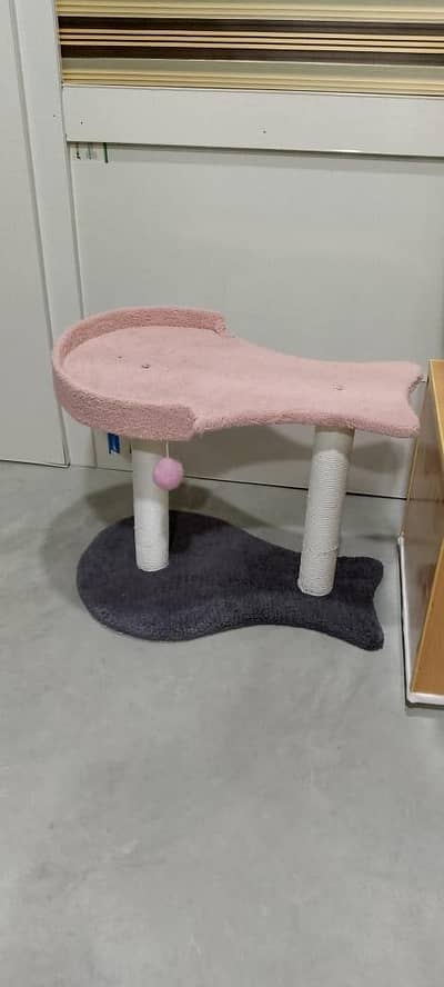 cat scratching post toy