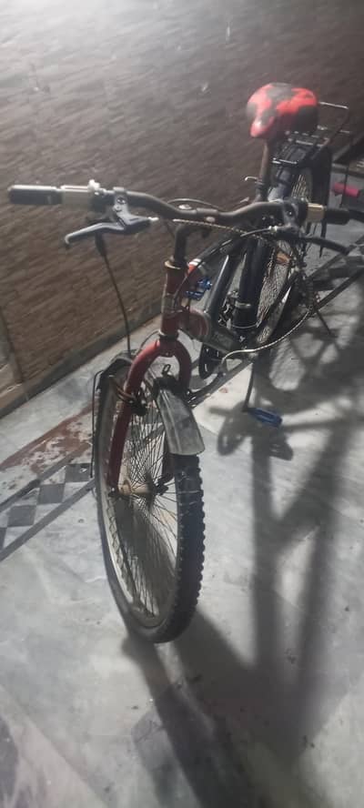 bicycle. gear bicycle