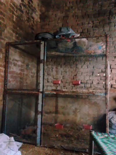 cage for animals