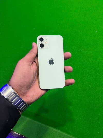 iPhone 12 mini