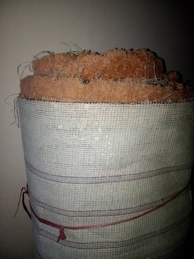 full size room size carpet