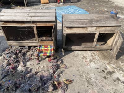 2 Pet Shelters Urgent For Sale