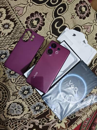 Vivo V60 5G 12/512