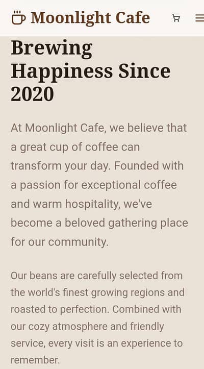 Website designer and developer