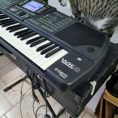 Gem korg professional Arranger piano keyoboard realstic tone styles