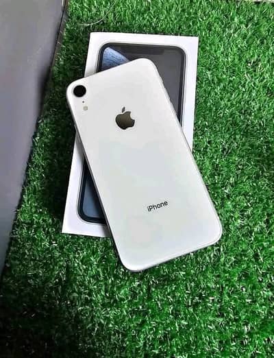 iPhone XR 128GB PTA Approved