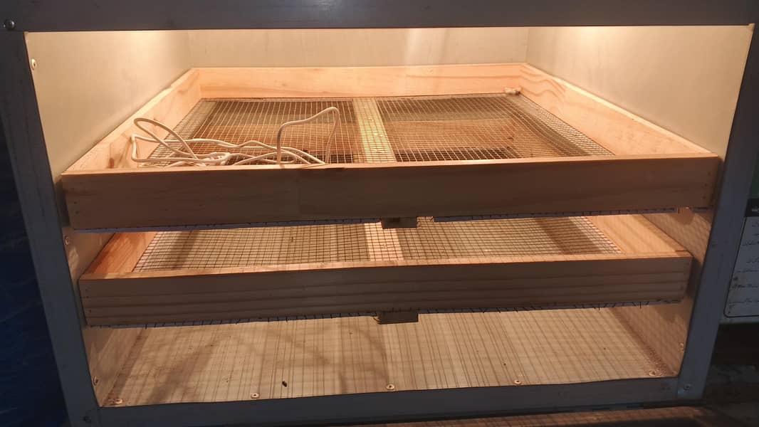 incubator 1