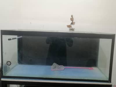 fish aquarium for sale