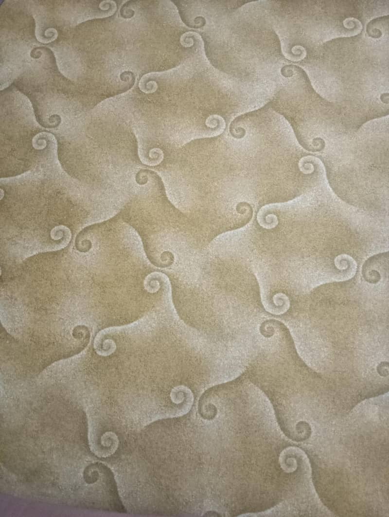 Carpet 0