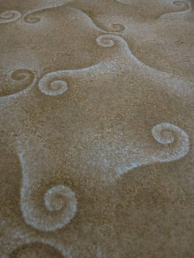 Carpet 1