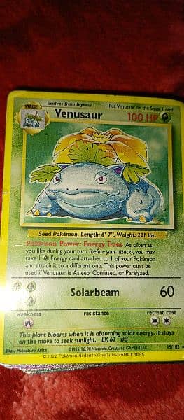 this plant blooms when it hit solar energy it is called a Venusaur ave