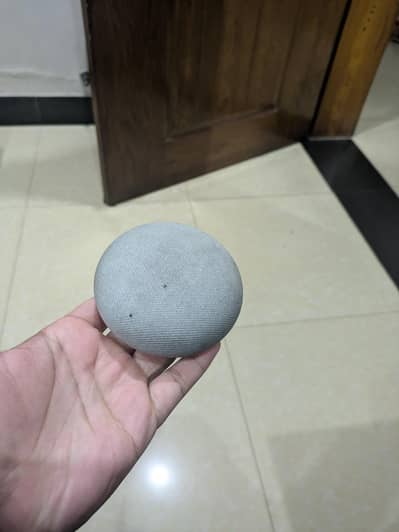 google nest 2  jasla Alexa HOTA ha wasa he ya ha