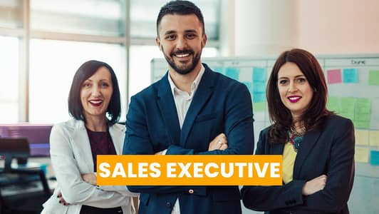 Senior Sales Executive (Salary Plus Two Commissions)