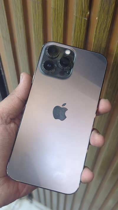 13 PRO MAX 256 GB FU NON