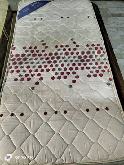 Master Celeste with warranty