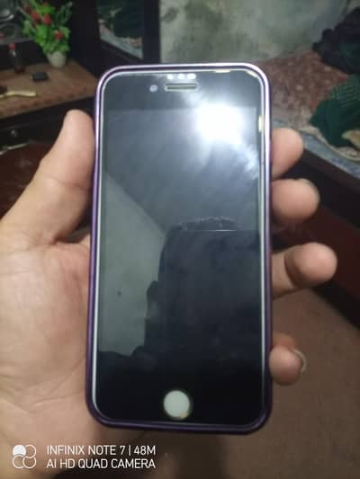 only WhatsApp contact me03164240408