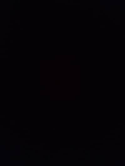 rooftop rent for basant