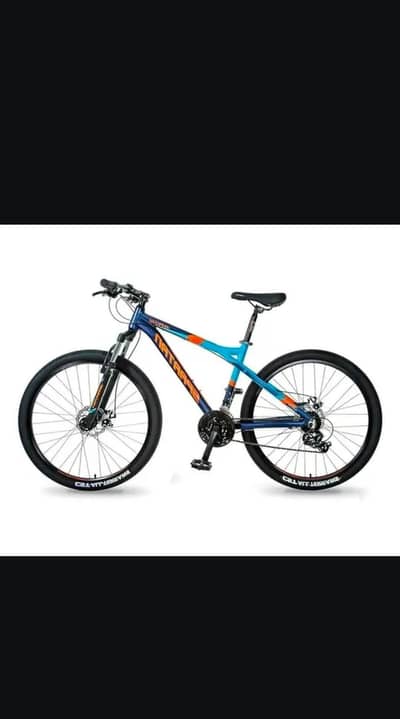 Mountain bicycle (Brand New Condition)