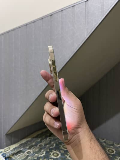 Iphone 12 pro max offical pta approved