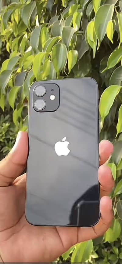 Iphone 12 10/10 not any single scratch