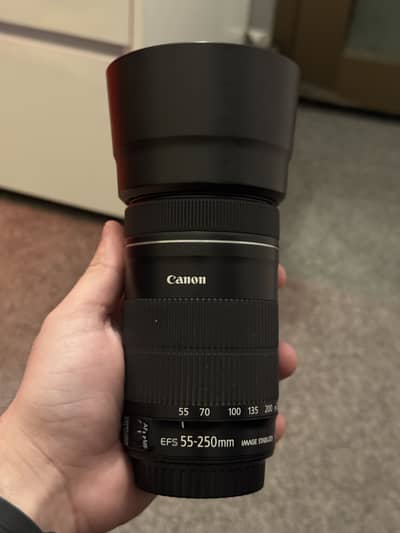 Canon 55-250mm stm and 50mm stm
