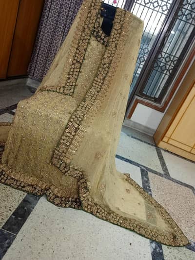 walima maxi