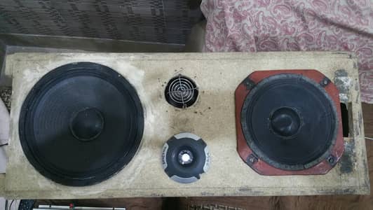 10 inch or 8 inch speaker with box